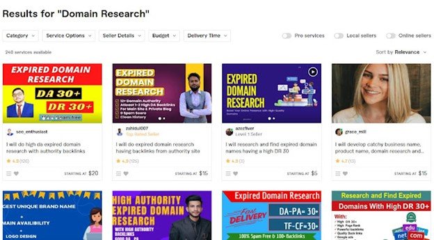 domain research fiverr gig